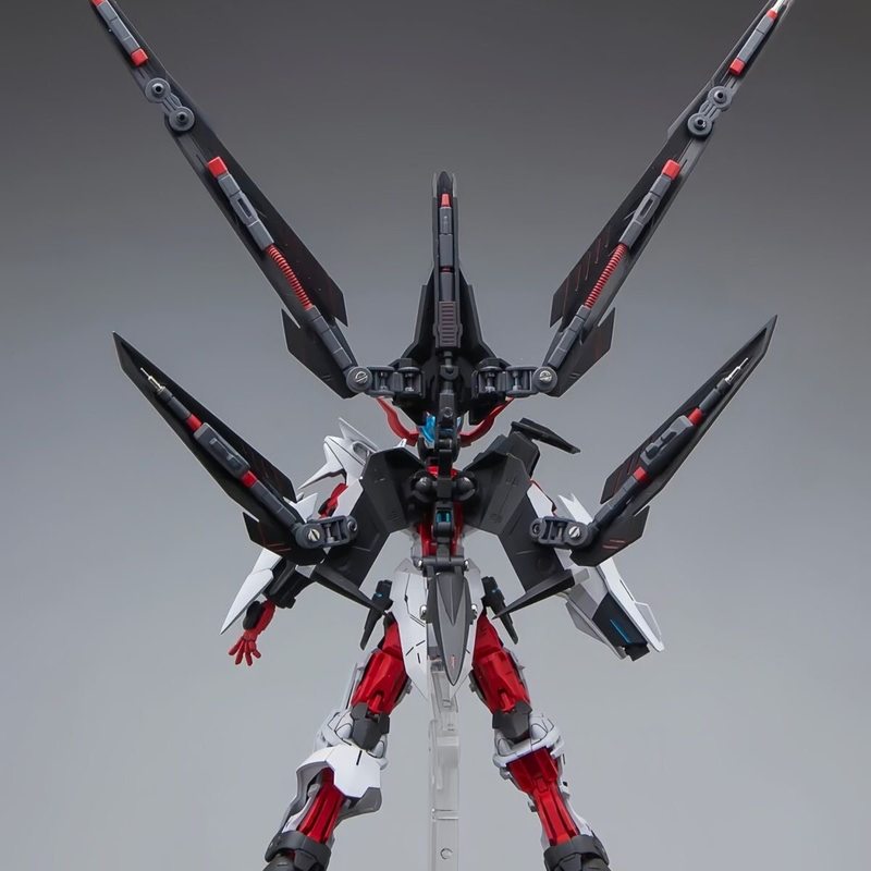 HG 1/144 Astray No-Name Astray - đánh giá và giá Model Kit Third Party